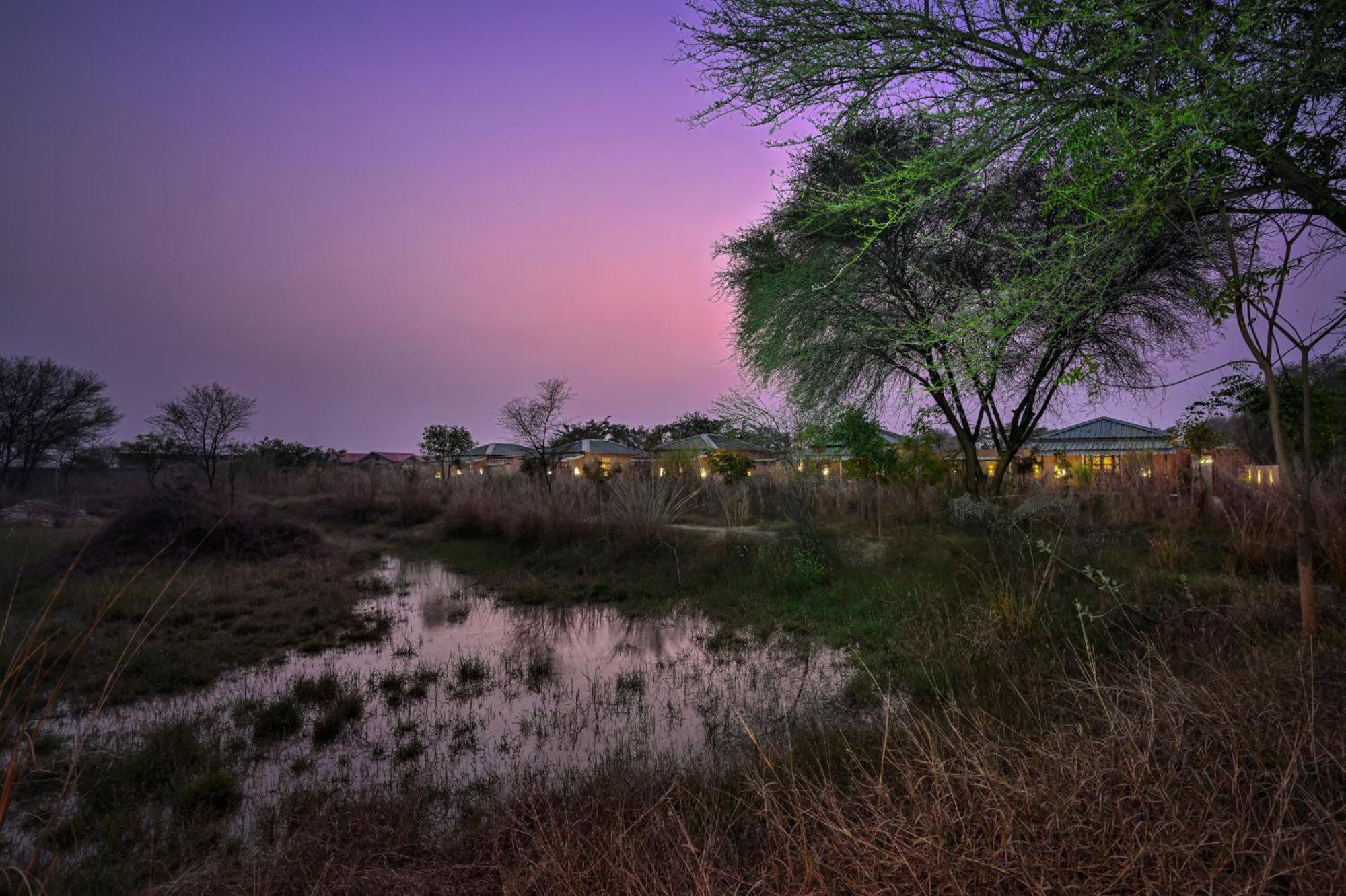 Bagh Serai Sawai Madhopur Bagian luar foto